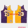 Maillot cousu LeBron James Split Purple Gold Ajouter n'importe quel numéro de nom