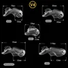 Dispositivi di castità maschile in resina HTV4 CAGE CACK CACK CACK CACK ANCIGLIO DI CACK PENIS BLOCCO PERSATURA PER UOMINA CINTURA CHASTITÀ 2103242397840