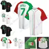 2021 Mexico Jersey Julio Urias 34 Fernando Valenzuela Svart vit storlek S-3XL All ED broderiknapp