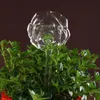 Vases Arrival Indoor Automatic Flower Glass Plant Flowers Tiger Watering Bulb Device Sprinkler Garden Water Feeder