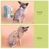 Costumes de chat Designer Sphinx Vêtements Devin sans poils pour vêtements Automne Hiver À capuche Plus Polaire Chaud Sphynx242q