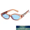 SOEI Rétro Petit Cadre Polygone Yeux De Chat Femmes Lunettes De Soleil Marque Designer Mode Guépard Décoration Dames Lunettes De Soleil UV400 Prix Usine Conception Experte Qualité