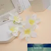 10 pièces/ensemble tête de fleur décoration Simulation vêtements guirlande mur maison mariage fleurs décoratives couronnes prix usine conception experte qualité dernier style