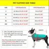 Höst hund tröja för små hundar björn skriva ut chihuahua kläder söt koreansk stil corgi kläder husdjur hundar katter kostymer 211013