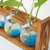 Vasos moda vaso hidropônico borossilicato bulbo de vidro transparente jardim água plantando estações de propagação decoração de casa presente