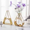 Nordic Golden Glass Vaas Iron Hydroponic Plant Bloem Vaas Tafelblad Coffee Shop Office Woondecoratie Accessoires Moderne Decor 2111103