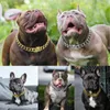 Dog Collars & Leashes 304 Stainless Steel Chain Collar And Leash Super Strong Metal Choke Silver Gold Pet Lead Rope For Party Show