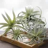 Decorative Flowers & Wreaths Simulated Succulent Plant Hairy Pineapple Air Grass Home Decoration Fake Flower Pot Artificial Plants