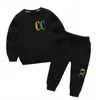 2-11 jaar kinderkleding Sets BABY jongens meisjes Kledingstuk Herfst Winter Patroon Designer Trui Pak kids jas + broek