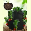 Planters & Pots Garden Planter Grow Bag Felt Hanging Potato Tomato Strawberry Vegetale Flower Bags Home Balcony Hanged Plant Pouching