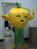 Performance Pumpkin Vegetable Mascot Costume Halloween Christmas Fancy Party Cartoon Character Outfit Suit Adult Women Men Dress Carnival Unisex Adults