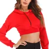 Jocoo Jolee Automne Crop Tops Femmes Casual Solide À Manches Longues Sweats Vintage Sweatshirts Vintgae Lâche À Capuchon Vêtements 210518