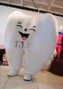 tooth mascot Costume Party Cartoon Character Costumes for Sale support customization