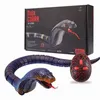 Remote Control Snake Infrared RC Naja Cobra Viper With Egg Rattlesnake Animal Trick Terrifying Mischief Toys for Children Gift 211027