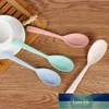 Kitchen Accessories wheat straw Spoon Portable High Quality Eco friendly tableware Restaurant6978067