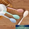 Kitchen Accessories wheat straw Spoon Portable High Quality Eco friendly tableware Sale Restaurant