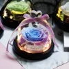 Naturtorkade blommor Skönheten och odjuret Eternal Real Rose i Glass Dome med LED Valentine Bröllop Jul Hem Inredning Present
