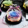 Natuurlijke gedroogde bloemen The Beauty and Beast Eternal Real Rose in Glass Dome met LED Valentine Bruiloft Kerst Home Decor Gift