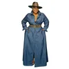 automne denim robe