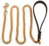 Metal Rostfritt stål Pet Dog Gold Collar Lead Super Outdoor Big Dog Training Chain Collar Decor Necklace för alla hundar 10e 668 V2