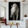 Dieren muurkunst zwart witte paarden koe honden posters en prints op canvas schilderij voor woonkamer woning decor cudros no frame