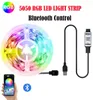 Bluetooth 5050 LED Streifen Licht RGB Infrarot Fernbedienung USB 5V Flexible Band Lampe Diode Hintergrundbeleuchtung für TV PC APP Steuerung