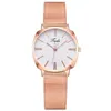 NIEUW WATCH WORDEN LUXE Delicate Small Dial Analog Quartz Mode roestvrijstalen band Women039S Horloges Dress Clock Reloj Mujer8592772