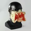 Movie Alien vs. Predator Mask Horrible Monster Masks Halloween Party Cosplay Costumes Props Latex L230704