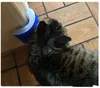 Chats auto-toiletteur outil de toilettage pour animaux de compagnie épilation peigne chiens chat brosse perte de cheveux coupe appareil de Massage