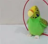 Electric Talking Parrot Toy Toy Cute говорят рекордные повторы, размахивая крыльями Электронная птица Фаршированная плюшевая игрушка нет полки дети подарок 834 V2