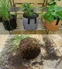 2-10 galão crescer sacos de feltro de jardinagem não-tecido cresce potenciômetro vegetal crescimento plantador jardim plantando potes