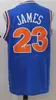 S Vintage LeBron 23 JDMES Jerseys Men St. Wincent Mary High School Irishblue White Green Brown Red Black Ed