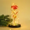 Night Lights LED Light Artificial Eternal Rose Beauty The Beast In Glass Gold Foil Flower Valentine's Day Gift Enchanted Fair240D