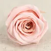 Dekoracyjne kwiaty wieńce 12 sztuk / partia High-end Conserwed Immortal Rose Flower 3-4cm Średnica Matka Day Prezent Eternal Life Material Box