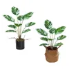 Flores decorativas grinaldas artificiais Arrowroot Bonsai Fake Pasked Plants Real Touch Sala de Casamento Partido Centerpieces Decor