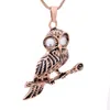 Stainless Steel Fashion Owl Cremation Pendant/Ashes Keepsake Jewelry Necklace Memorial Pet