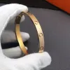 Armbandbangle vrouwen mannen 4CZ titanium stalen armbanden voor minnaar goud zilveren mode mode armband sieraden met fluweeltas