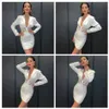 Free Women Mesh Dress Sexy Lapel Long Sleeve Bodycon Single Row Concealed Button Club Party Mini Vestido 210524