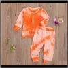 Sets Baby Baby, & Maternity2Pcs Infant Toddler Tie-Dye Print Outfits Long Sleeve Round Neck T-Shirt Top+Elastic Waist Trousers Autumn Kids C