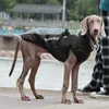 Cachorros inverno jaquetas de cão vestuário frio tempo Doberman casacos com chicote peludo gola fácil andar macio esportes quente roupas para médio grande cachorrinho cinza xxl a150