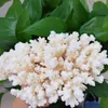 1PC Natural White Coral Fossil Cluster Crystal Aquarium Landscaping Ornaments Decorationum Reef Specimen Home Decor Gift