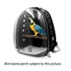 Designer Pet Parrot Carrier Bird Travel Bag Space Transparent Backpack Breathable Degree Sightseeing School Bags
