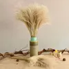 50pcs/lot Wedding Flowers Dry Flower Bouquet Real Pampas Grass Decor Natural Dried Flowers Plants Party Home Decoration Table 210317