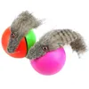 Toys Cat Boule colorée avec fixation en plumes Teaser TEASER ROULET JOUET CHATTEN SCRACK RESTANT PET Interactive Exer2687940