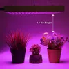 Square Cob Lead Grow Lights Indoor Botany Growth Lamps 45W 220V Full Spectrum 225 Pärlor LED -växtfyllning Lampa växthus Gardenin5862202