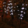 3 LED ad energia solare, colore bianco caldo, ramo, foglia, albero, luce, percorso da giardino esterno