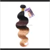 Zhifan 1B 27 Body Wave Virgins Factory 1B427 Ombre Remyhair Extensiones a granel Cierre Brasileño Venta al por mayor Nave 4Ugzg Bulks Lytpk