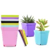 Succulent plant plastic flower Planters pots 7cm small square basin with tray seedling Mini Garden Supplies 8802