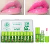 Natuurlijke Aloë Vera Getinte Lipgloss Kleur Veranderende Hydraterende Vloeibare Lipstick Langdurige Lippen Make-up Cosmetica