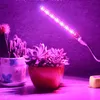 5V LED GROW LIGHT USB Phyto Lamp Full Spectrum Fitolampy IR UV Röd Blå För Växter Fröplantor Blomma Inomhus Fitolamp Växt Box W220312